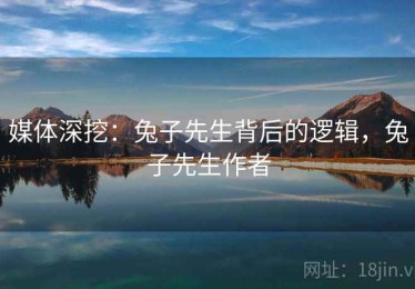 媒体深挖：兔子先生背后的逻辑，兔子先生作者