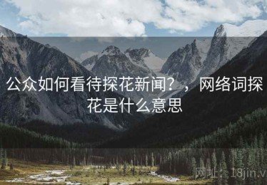 公众如何看待探花新闻？，网络词探花是什么意思