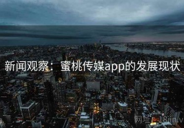 新闻观察：蜜桃传媒app的发展现状