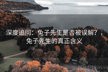 深度追问：兔子先生是否被误解？，兔子先生的真正含义