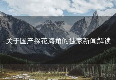 关于国产探花海角的独家新闻解读