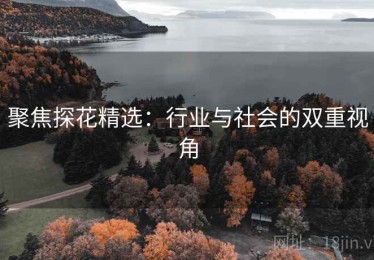 聚焦探花精选：行业与社会的双重视角