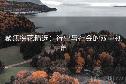 聚焦探花精选：行业与社会的双重视角