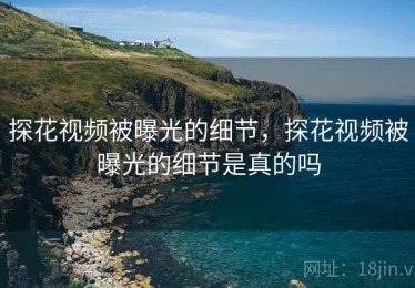 探花视频被曝光的细节，探花视频被曝光的细节是真的吗