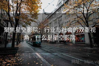 聚焦星空影院：行业与社会的双重视角，什么是星空影院
