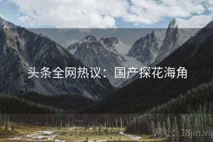 头条全网热议：国产探花海角