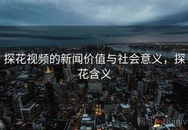 探花视频的新闻价值与社会意义，探花含义