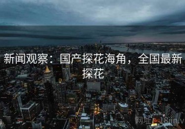 新闻观察：国产探花海角，全国最新探花