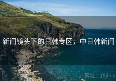 新闻镜头下的日韩专区，中日韩新闻