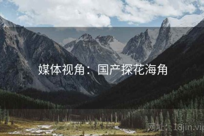 媒体视角：国产探花海角