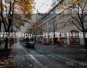 探花视频app——社会聚焦特别报道