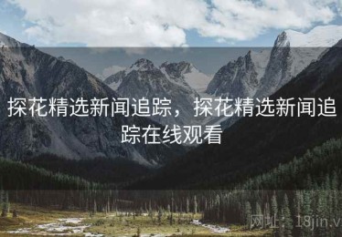 探花精选新闻追踪，探花精选新闻追踪在线观看