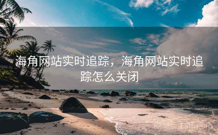 海角网站实时追踪，海角网站实时追踪怎么关闭