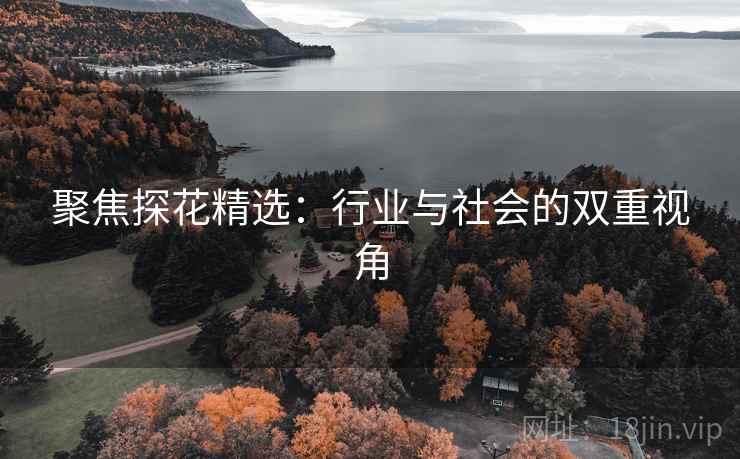 聚焦探花精选：行业与社会的双重视角