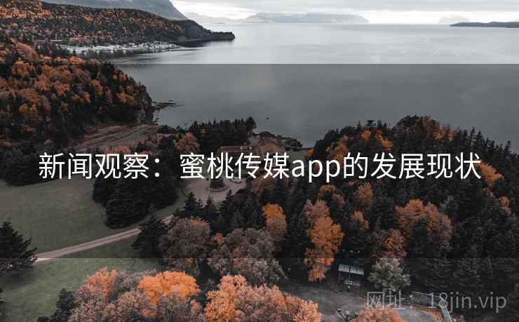 新闻观察：蜜桃传媒app的发展现状