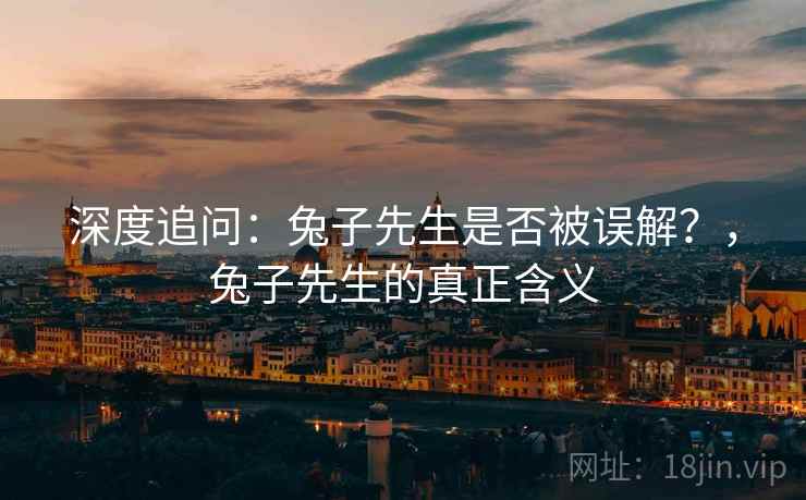 深度追问：兔子先生是否被误解？，兔子先生的真正含义