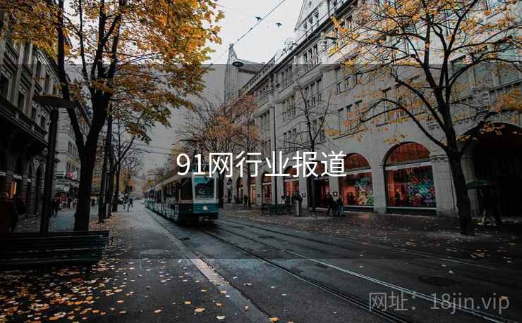 91网行业报道
